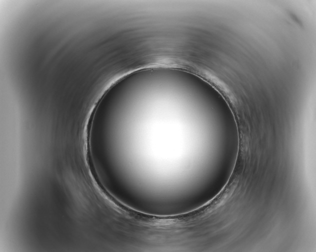 X0000096431479200801311422