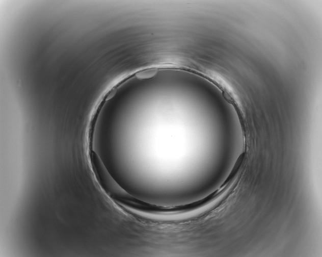 X0000096431480200801311422