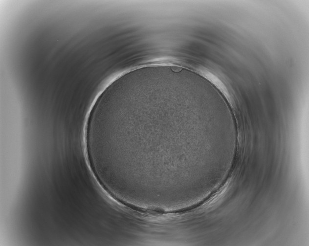 X0000096431482200801311422