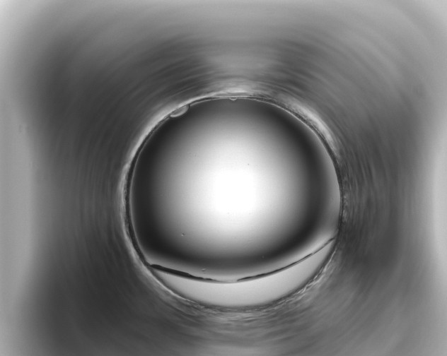 X0000096431483200801311422