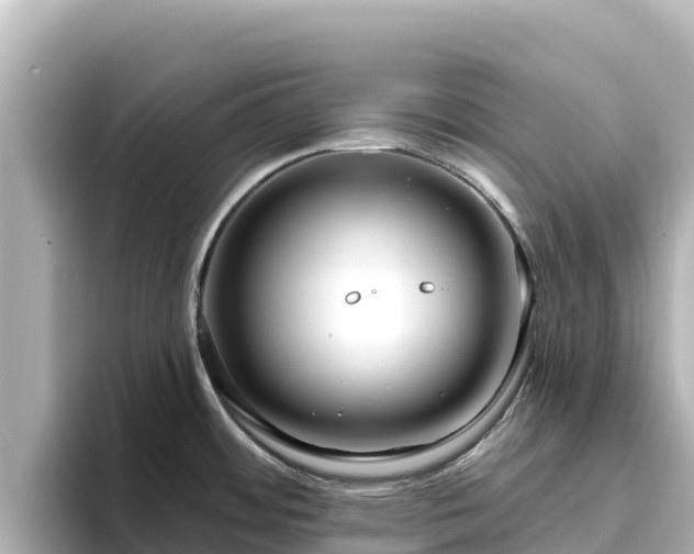 X0000096431484200801311422