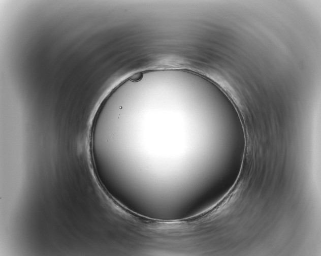 X0000096431486200801311422