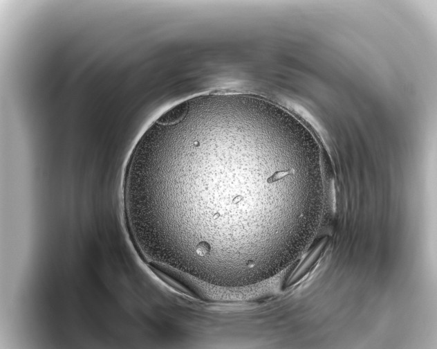 X0000096431487200801311422