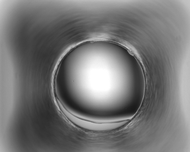 X0000096431488200801311422