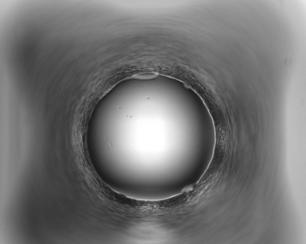 X0000096431489200801311422