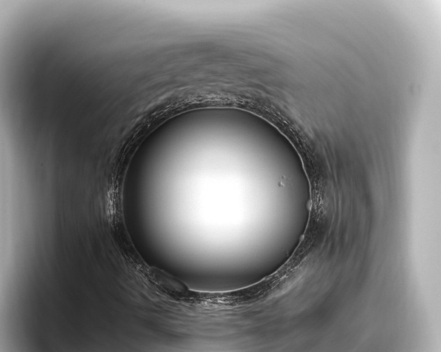 X0000096431490200801311422