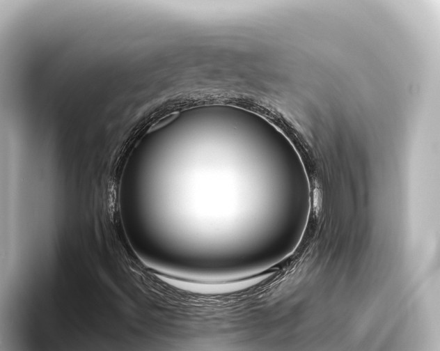 X0000096431492200801311422