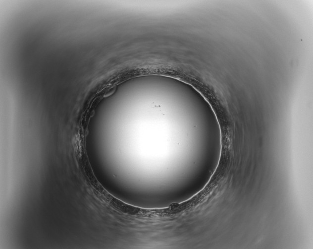 X0000096431493200801311422