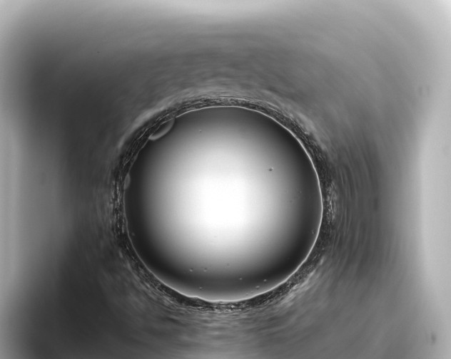 X0000096431494200801311422