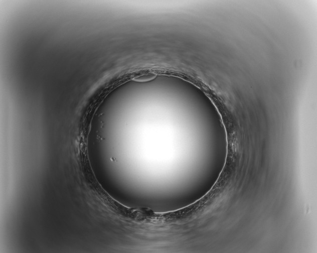 X0000096431495200801311422