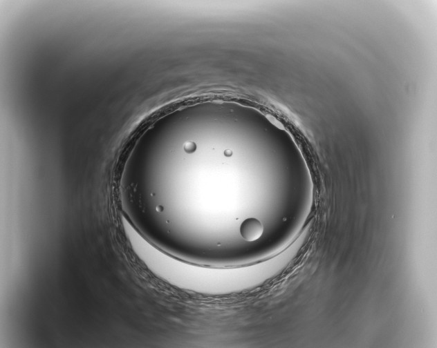 X0000096431496200801311422