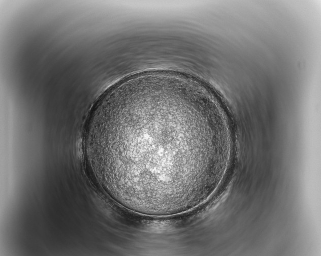 X0000096431497200801311422