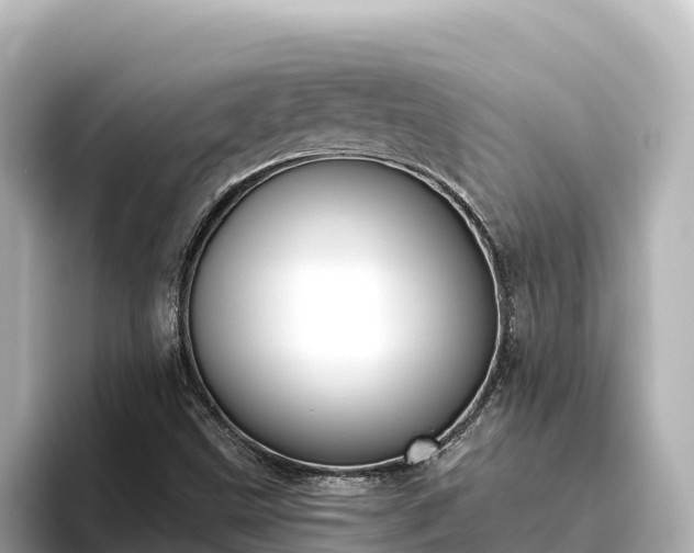 X0000096431499200801311422
