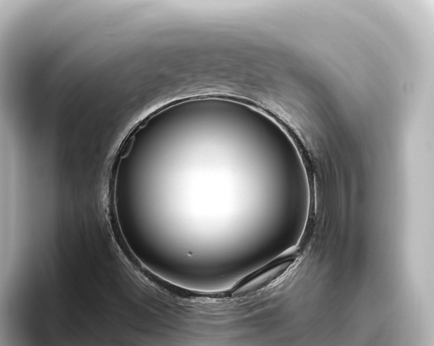 X0000096431500200801311422