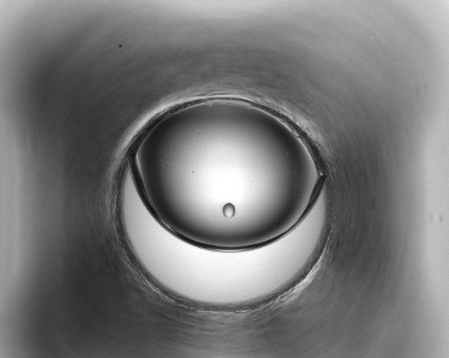 X0000096431502200801311422