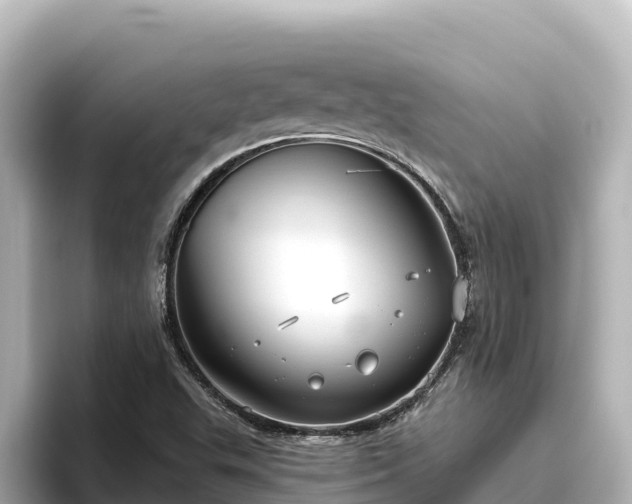 X0000096431503200801311422