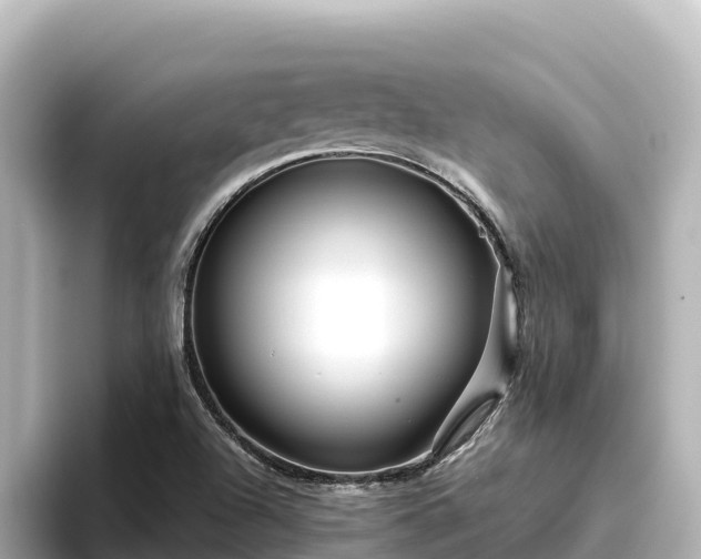 X0000096431504200801311422