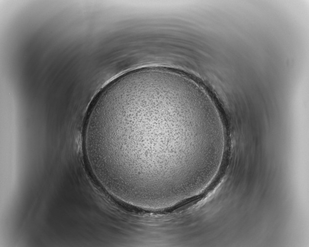X0000096431505200801311422