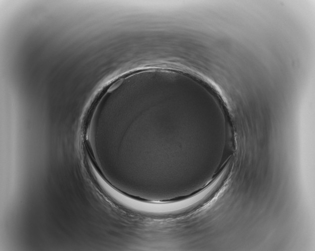 X0000096431506200801311422