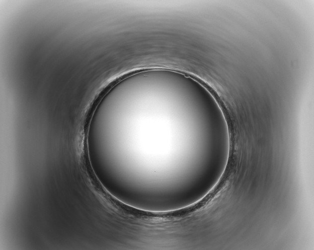 X0000096431507200801311422