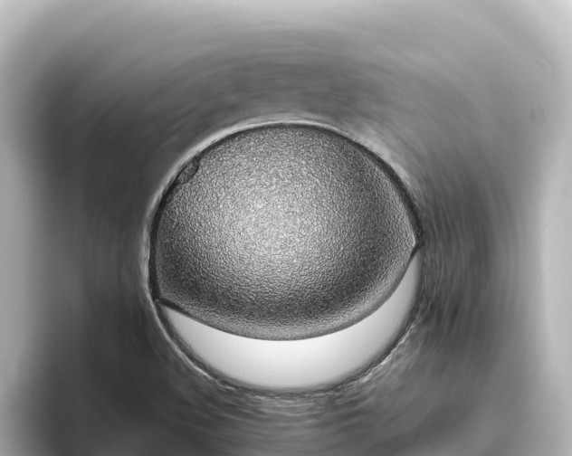 X0000096431508200801311422
