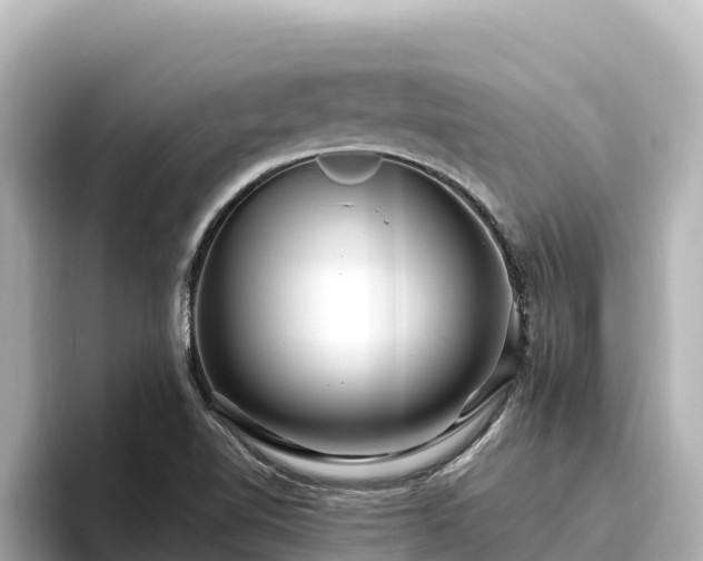 X0000096431510200801311422