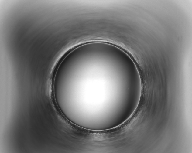 X0000096431511200801311422