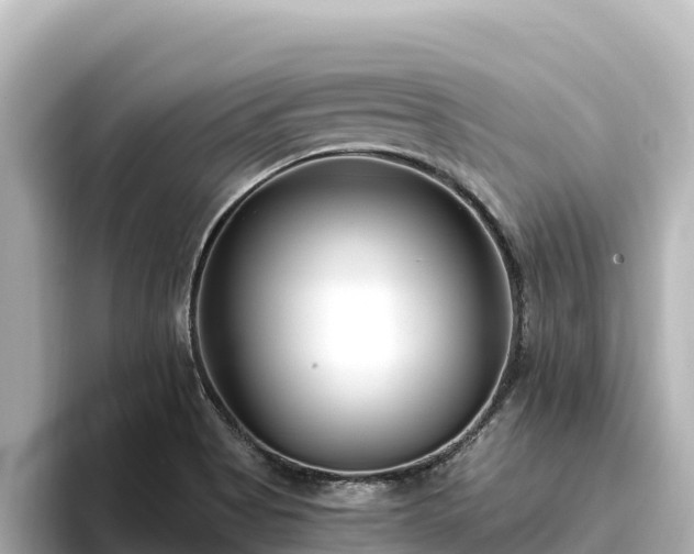 X0000096431513200801311422