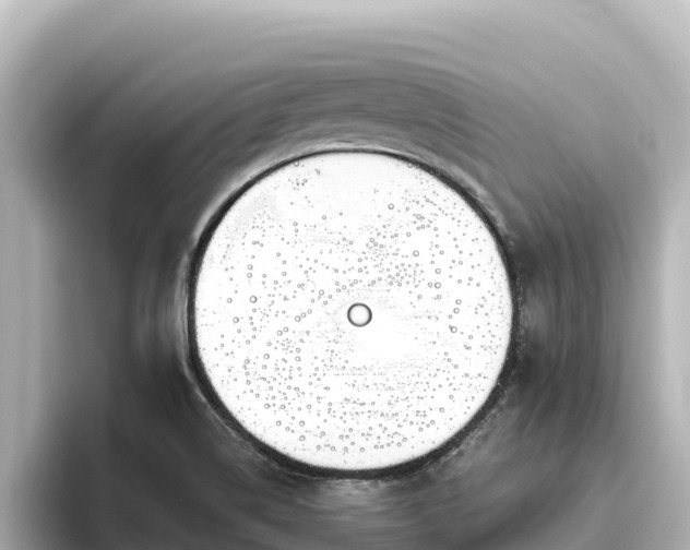 X0000096431514200801311422