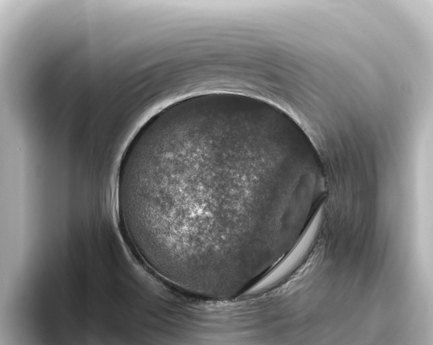 X0000096431515200801311422