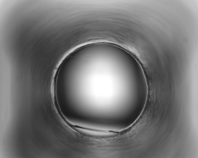 X0000096431516200801311422
