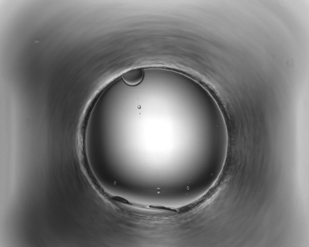 X0000096431517200801311422