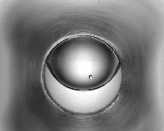 X0000096431518200801311422