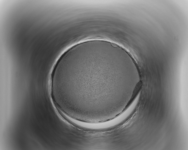 X0000096431519200801311422