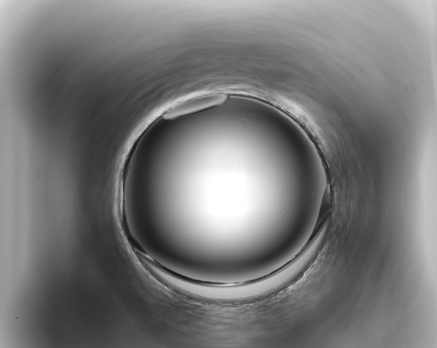 X0000096431520200801311422