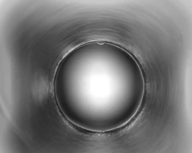 X0000096431521200801311422