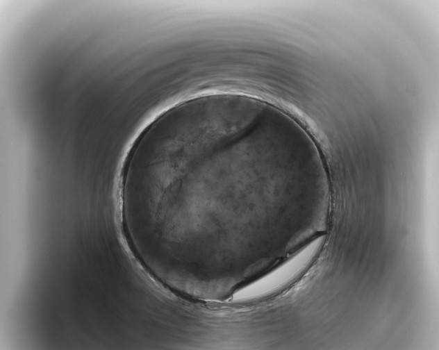 X0000096431522200801311422
