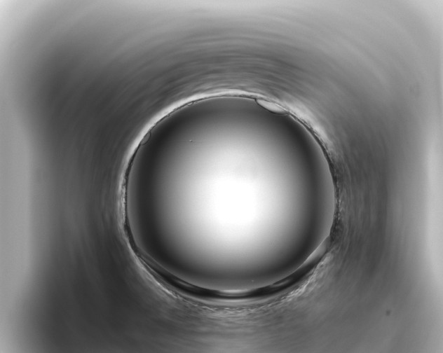 X0000096431524200801311422