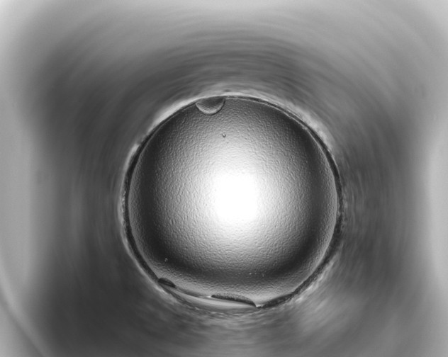 X0000096431525200801311422