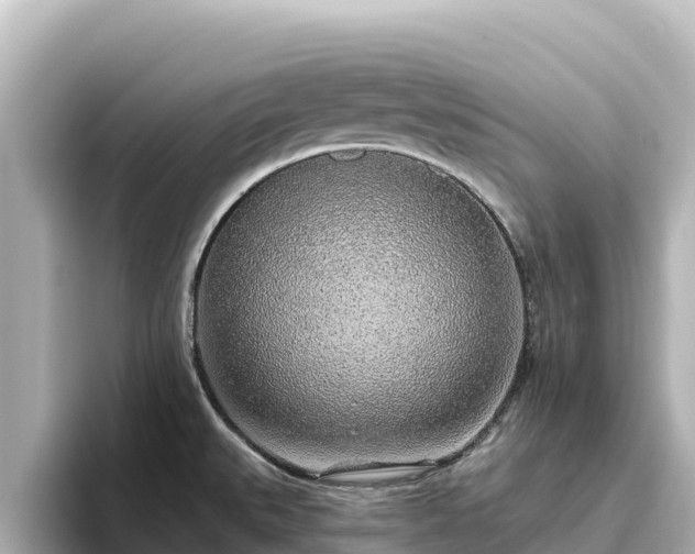 X0000096431527200801311422