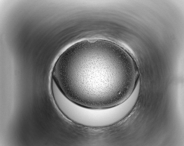 X0000096431528200801311422