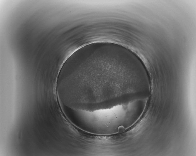 X0000096431529200801311422