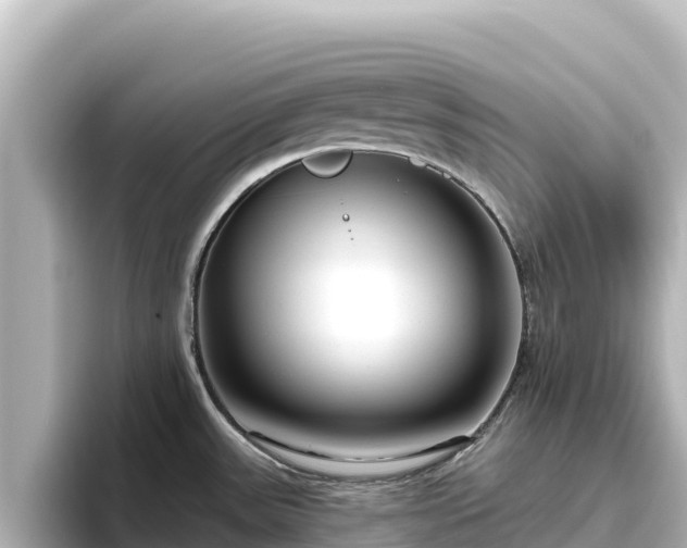 X0000096431531200801311422