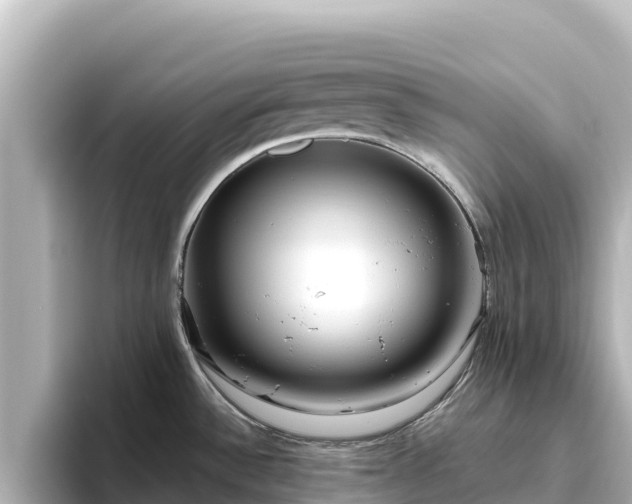 X0000096431532200801311422