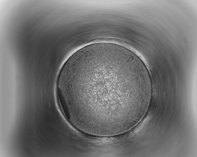 X0000096431533200801311422