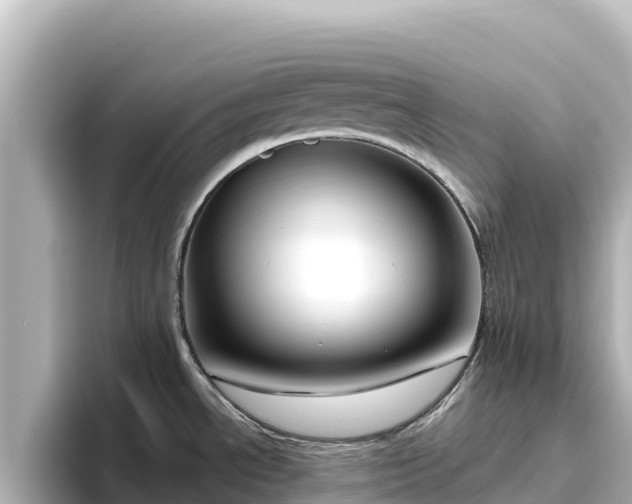 X0000096431534200801311422
