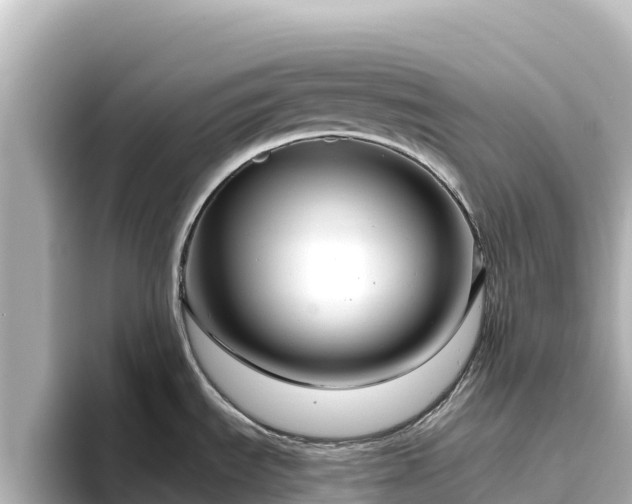 X0000096431535200801311422