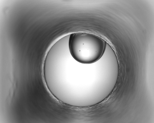 X0000096431536200801311422