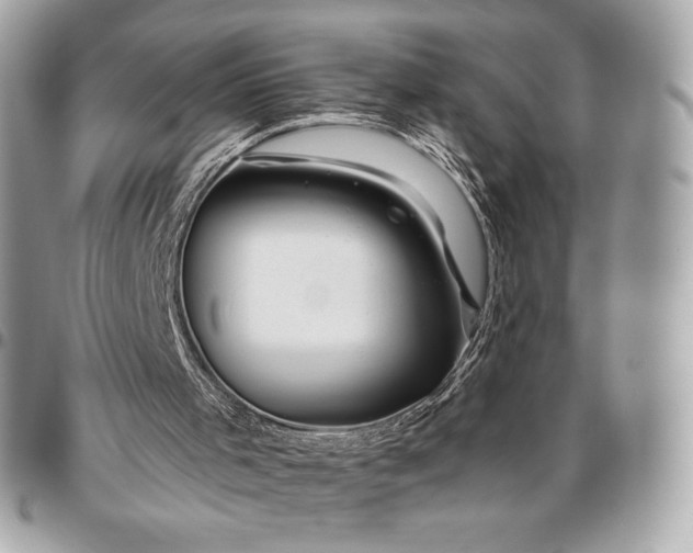 X0000096430001200802071736