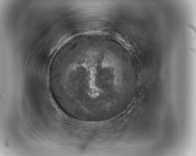 X0000096430002200802071736